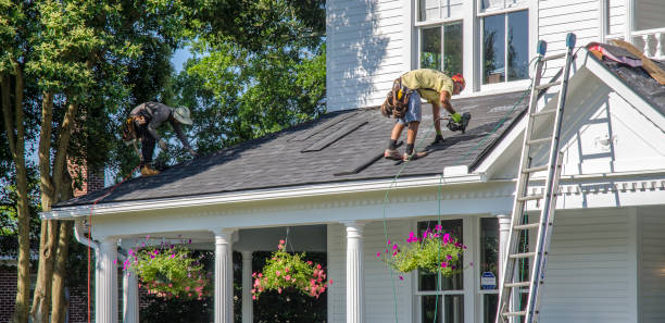 Best Roof Insulation Installation  in Bell Nyon, CA